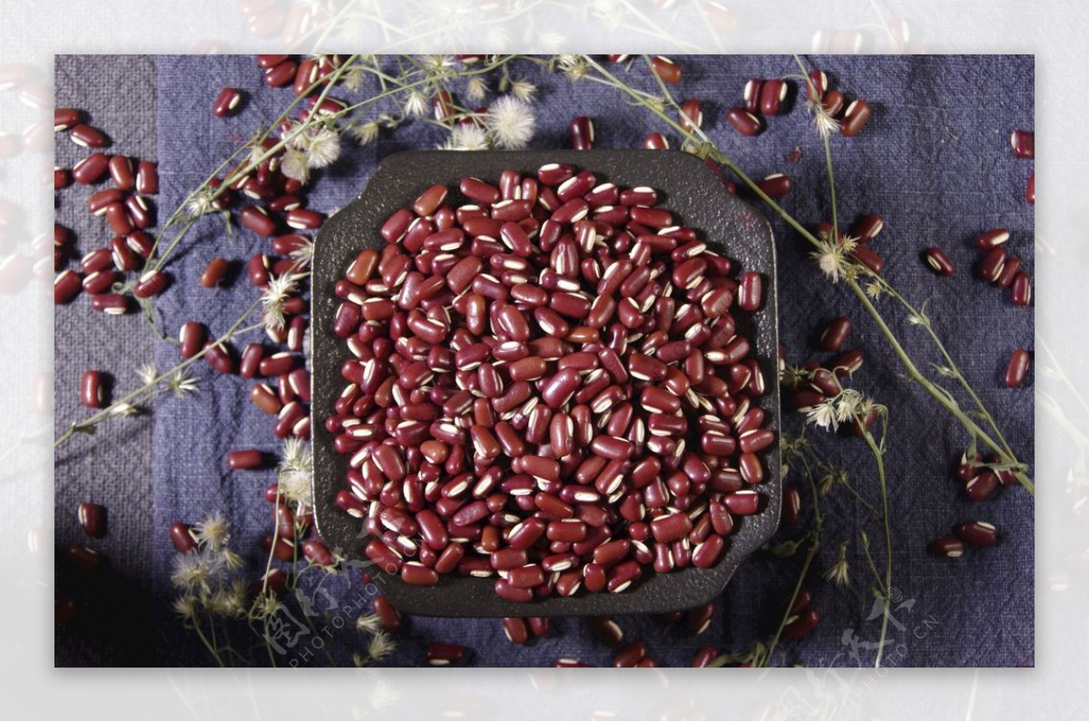 赤小豆红豆五谷杂粮食材图片