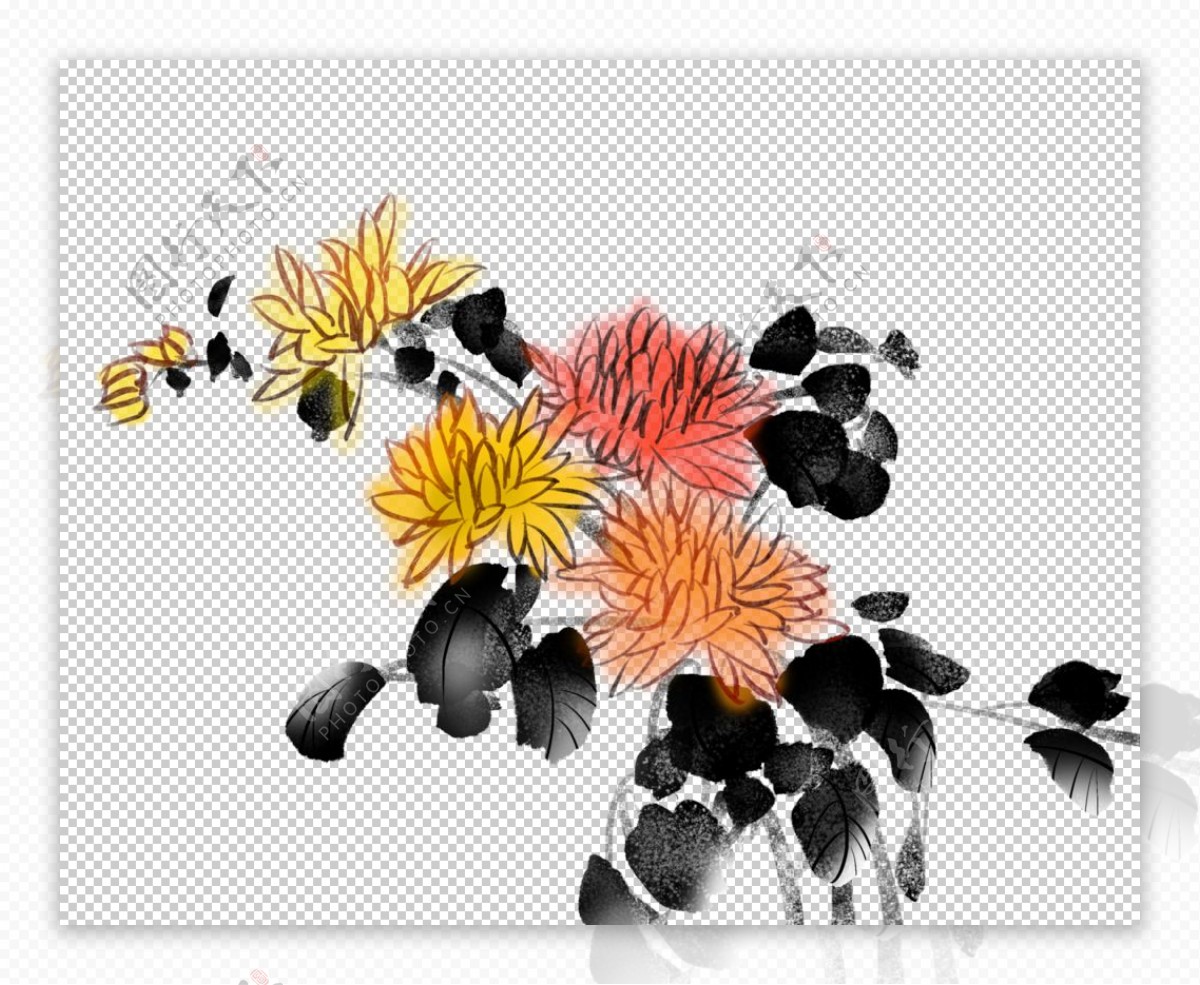 菊花素材图片