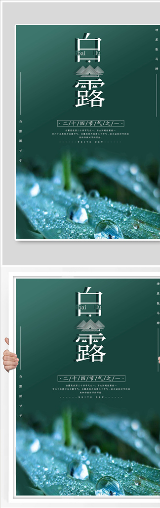 白露节气清新海报图片