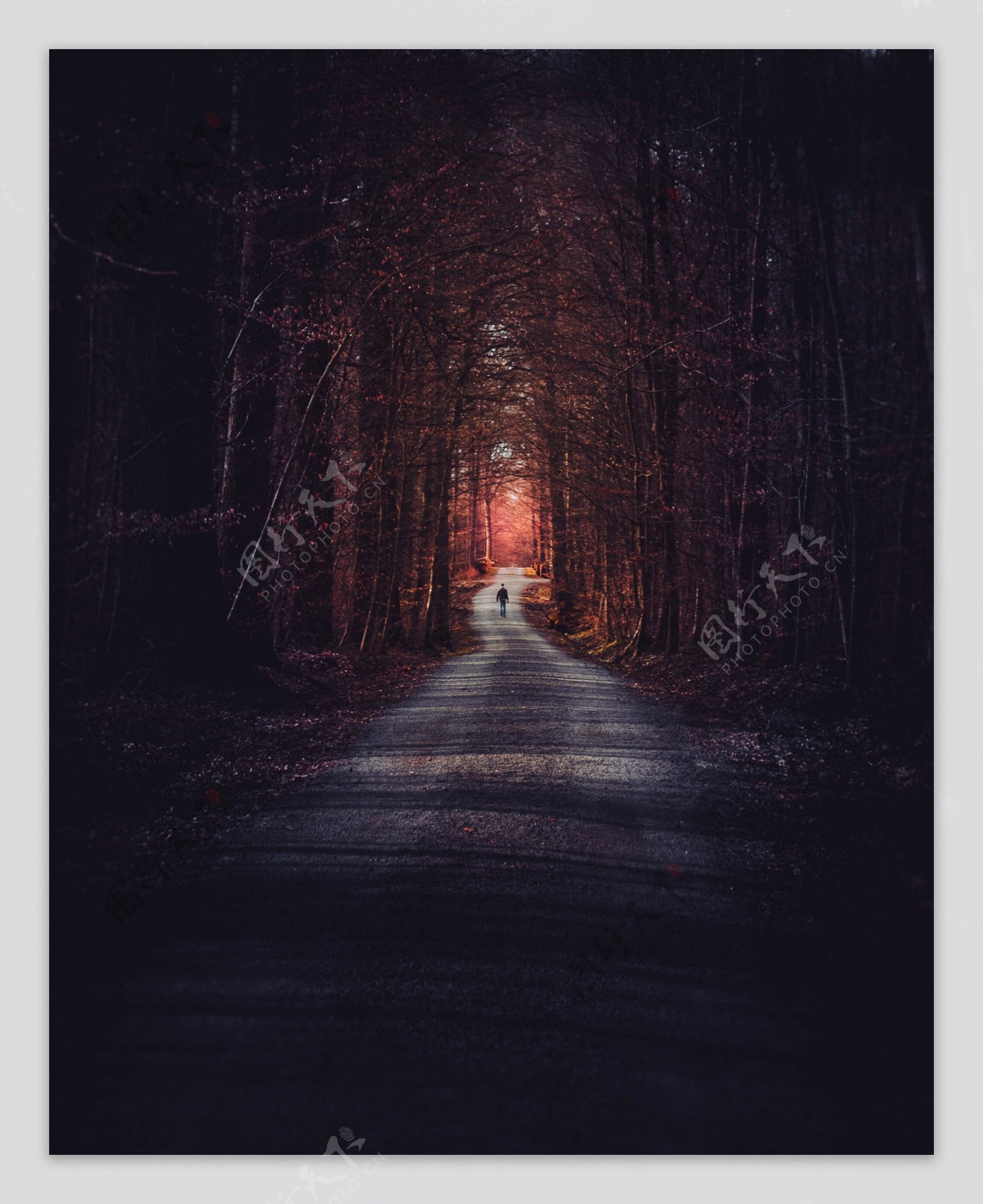 道路公路夜晚森林背景海报素材图片