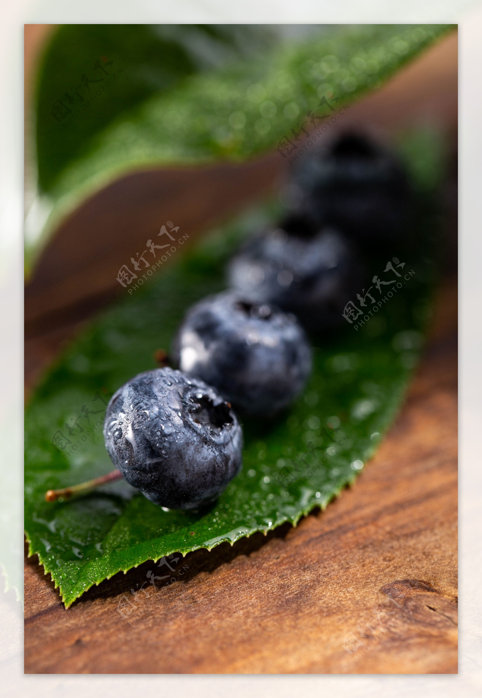 蓝莓水果背景海报素材图片