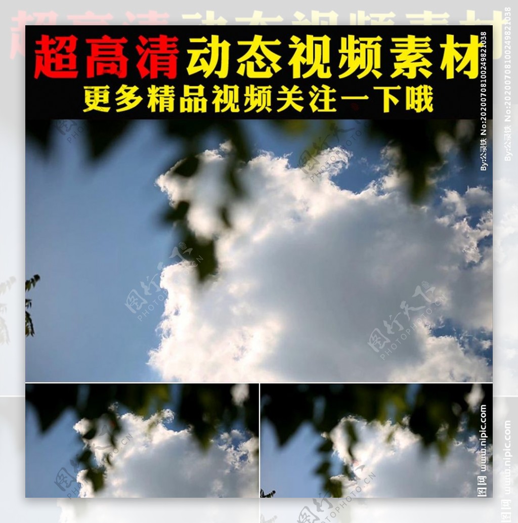 蓝天白云植物树叶空镜头视频素材