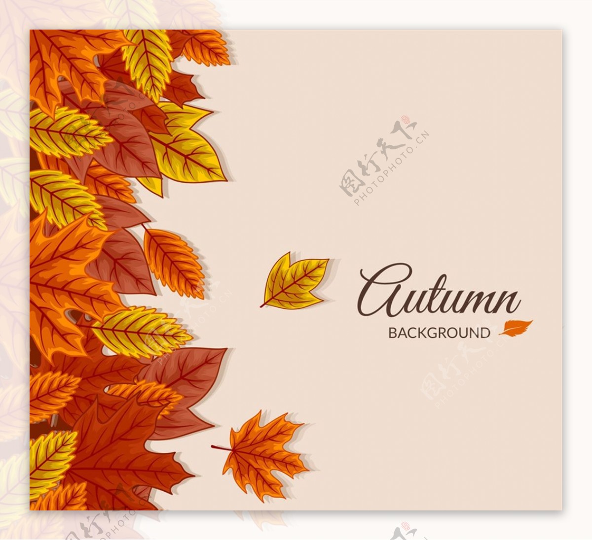 彩色秋季落叶背景图片