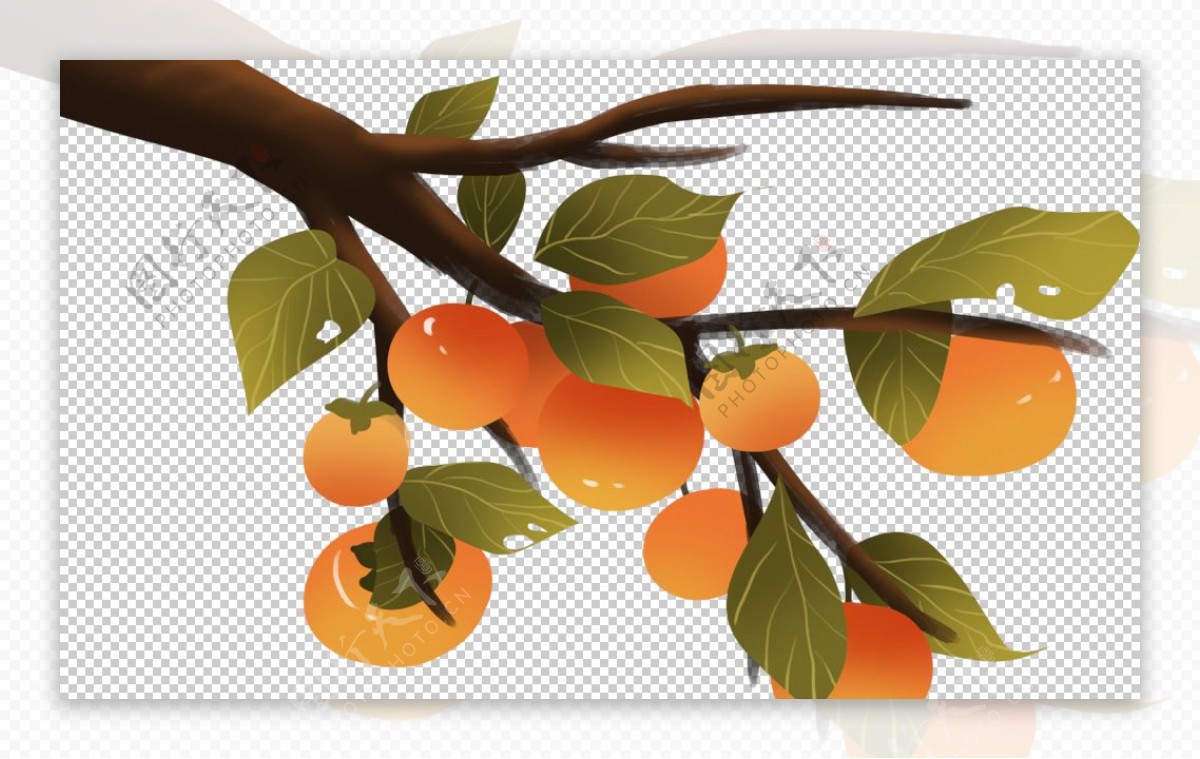 柿子树水果卡通插画海报素材图片