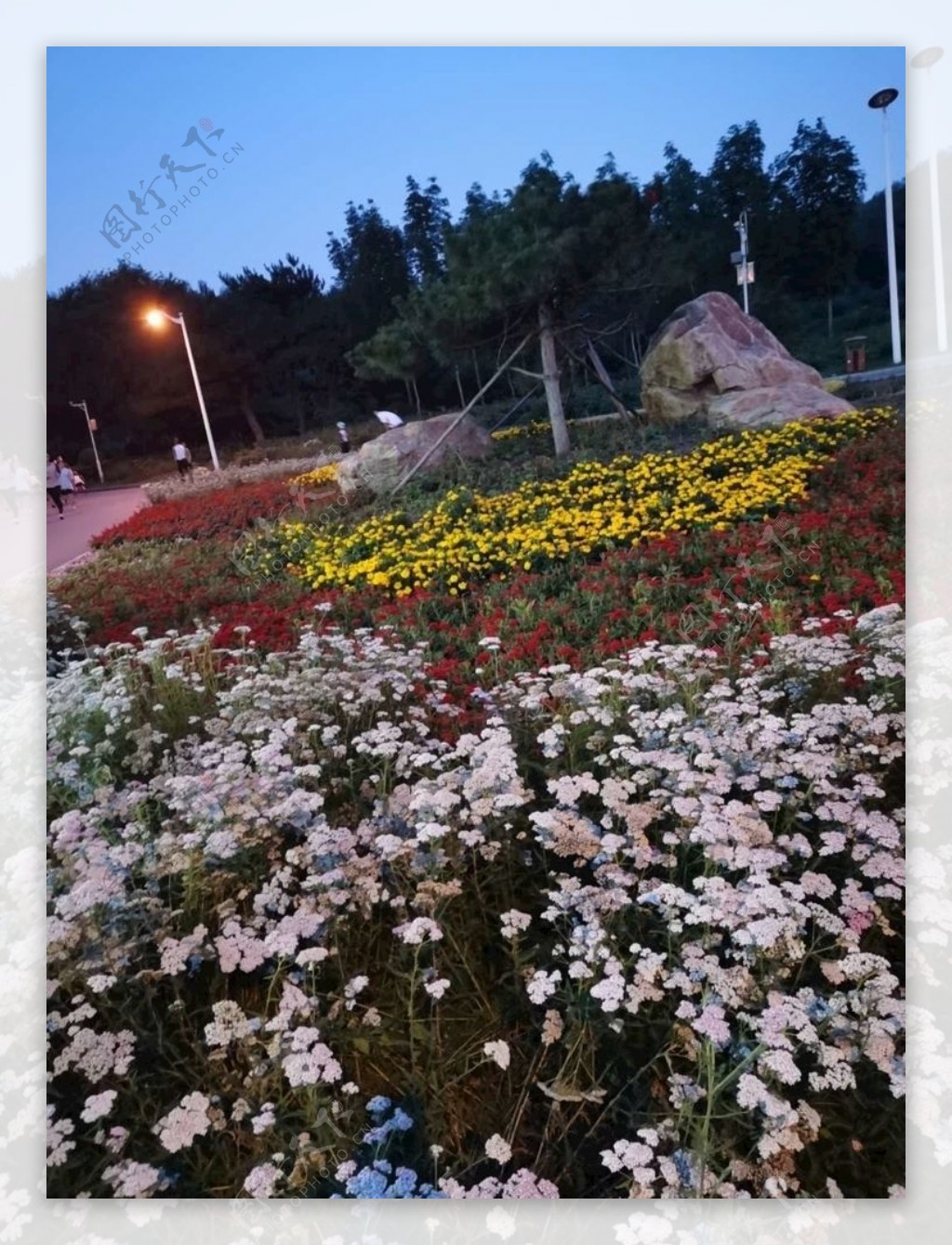 长春公园夜景图片