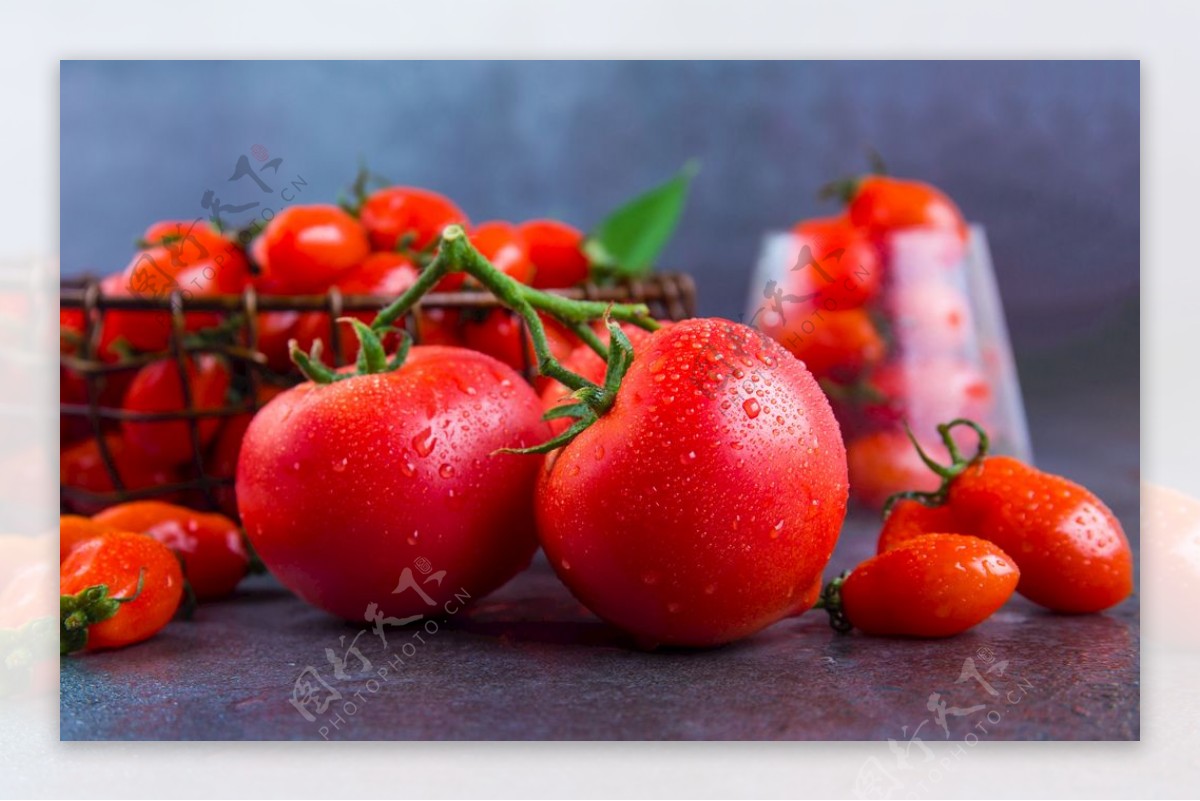 诱人的西红柿图片