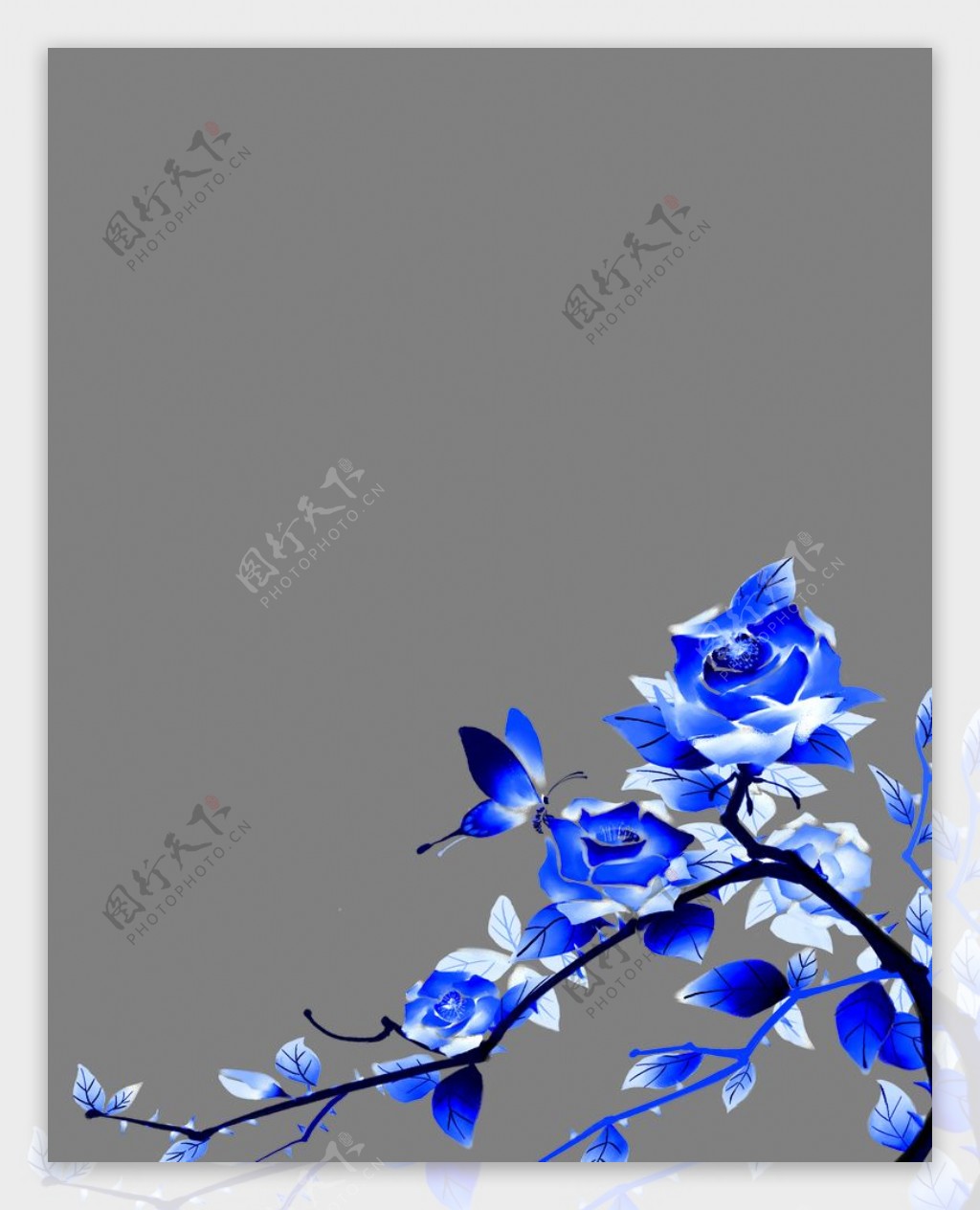 蓝色花素材图片