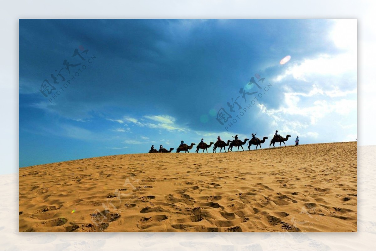 沙漠风光骆驼队图片