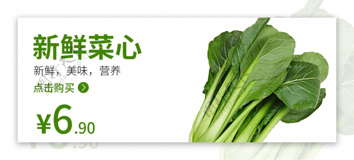 菜心食品海报蔬菜蔬菜海报图片