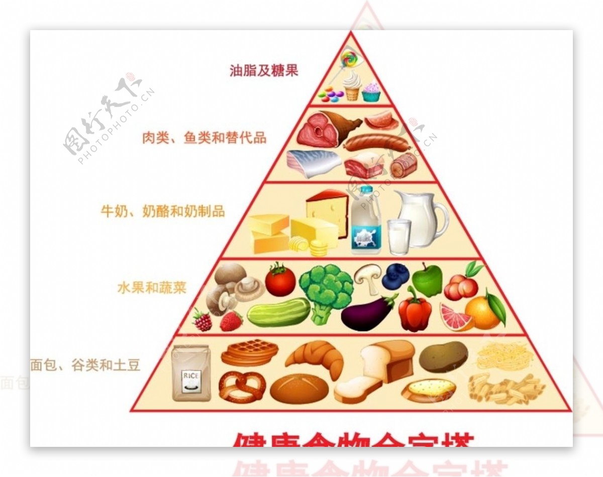 膳食金字塔图片