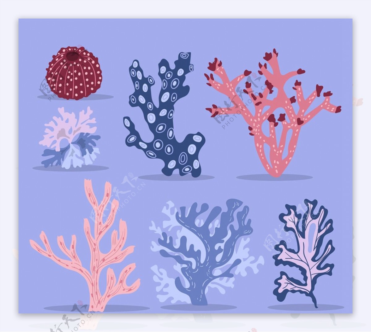 创意珊瑚设计图片