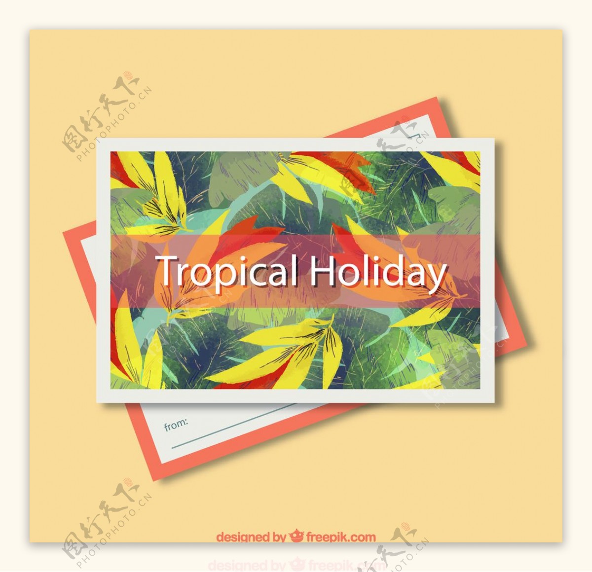 热带树叶明信片图片