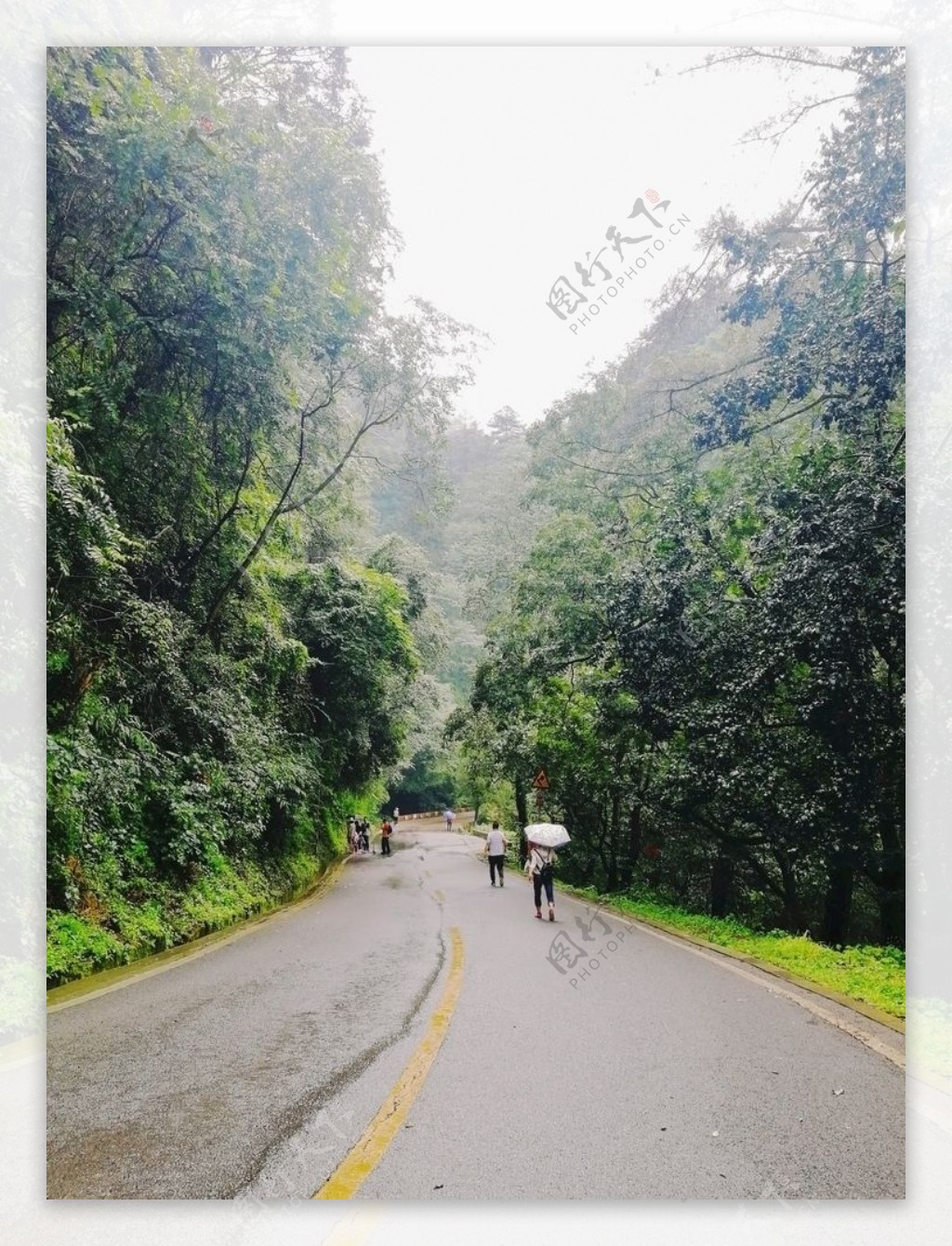 突如其来的雨图片