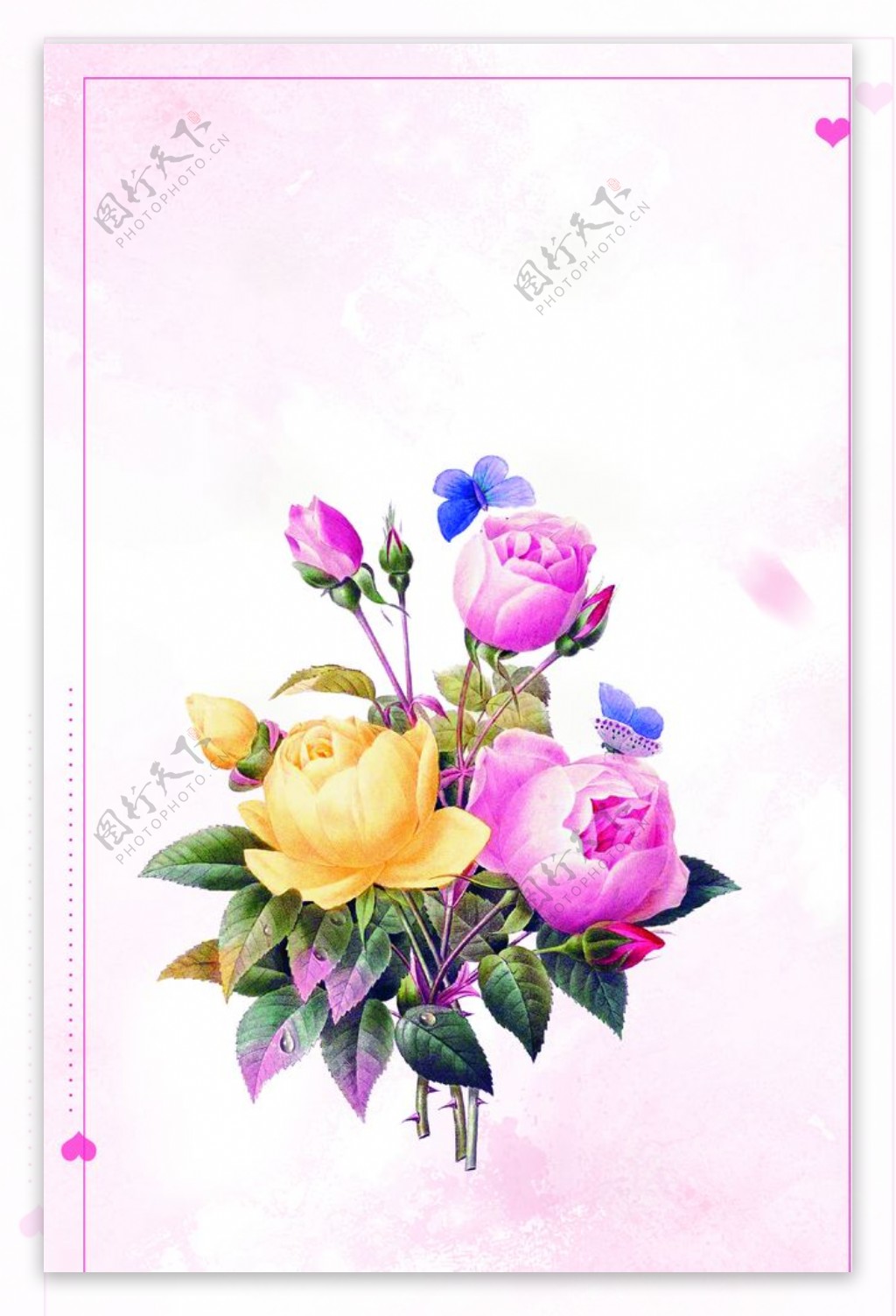 粉色清新花卉情人节背景图片