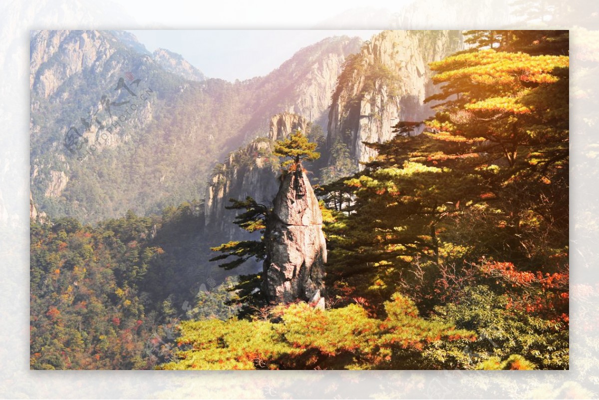 山峰森林树木背景海报素材图片