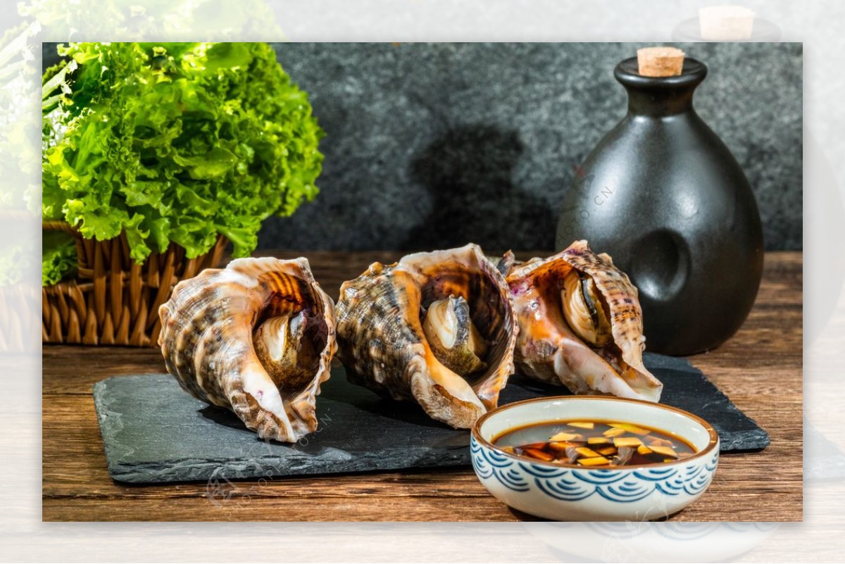 海螺美食食材背景海报素材图片