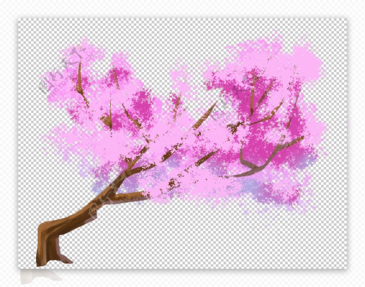 樱花素材图片