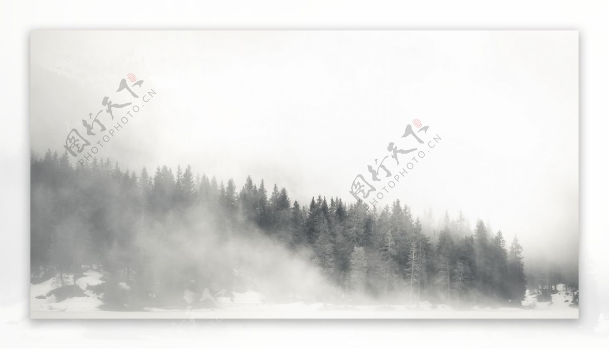 雾山雪林图片