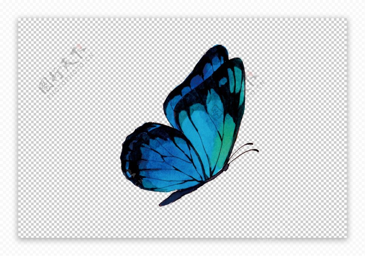 蝴蝶水彩动物生态背景素材图片