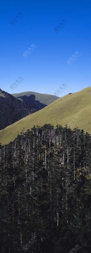 高清风景照片图片