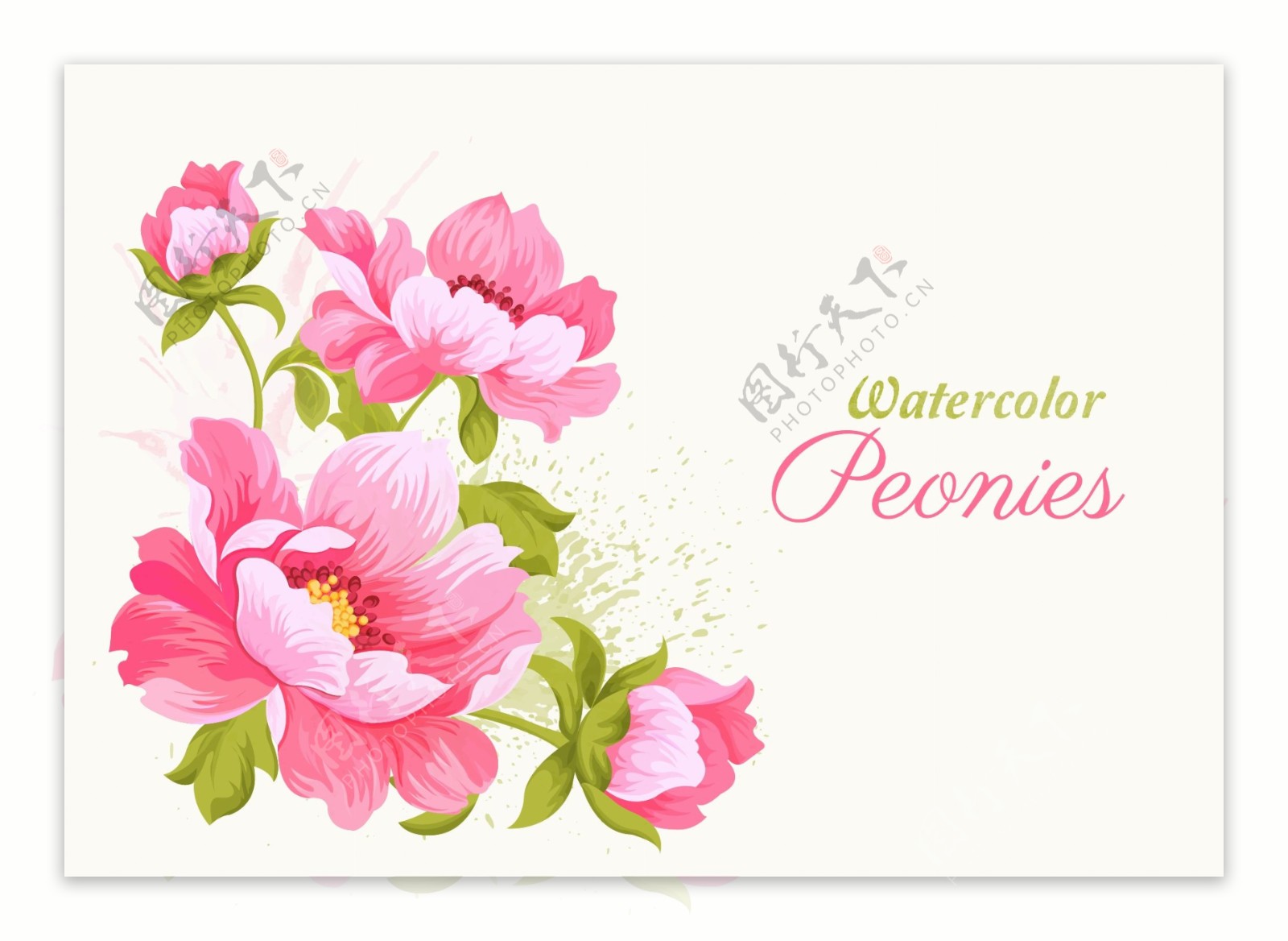 粉色花朵矢量图片