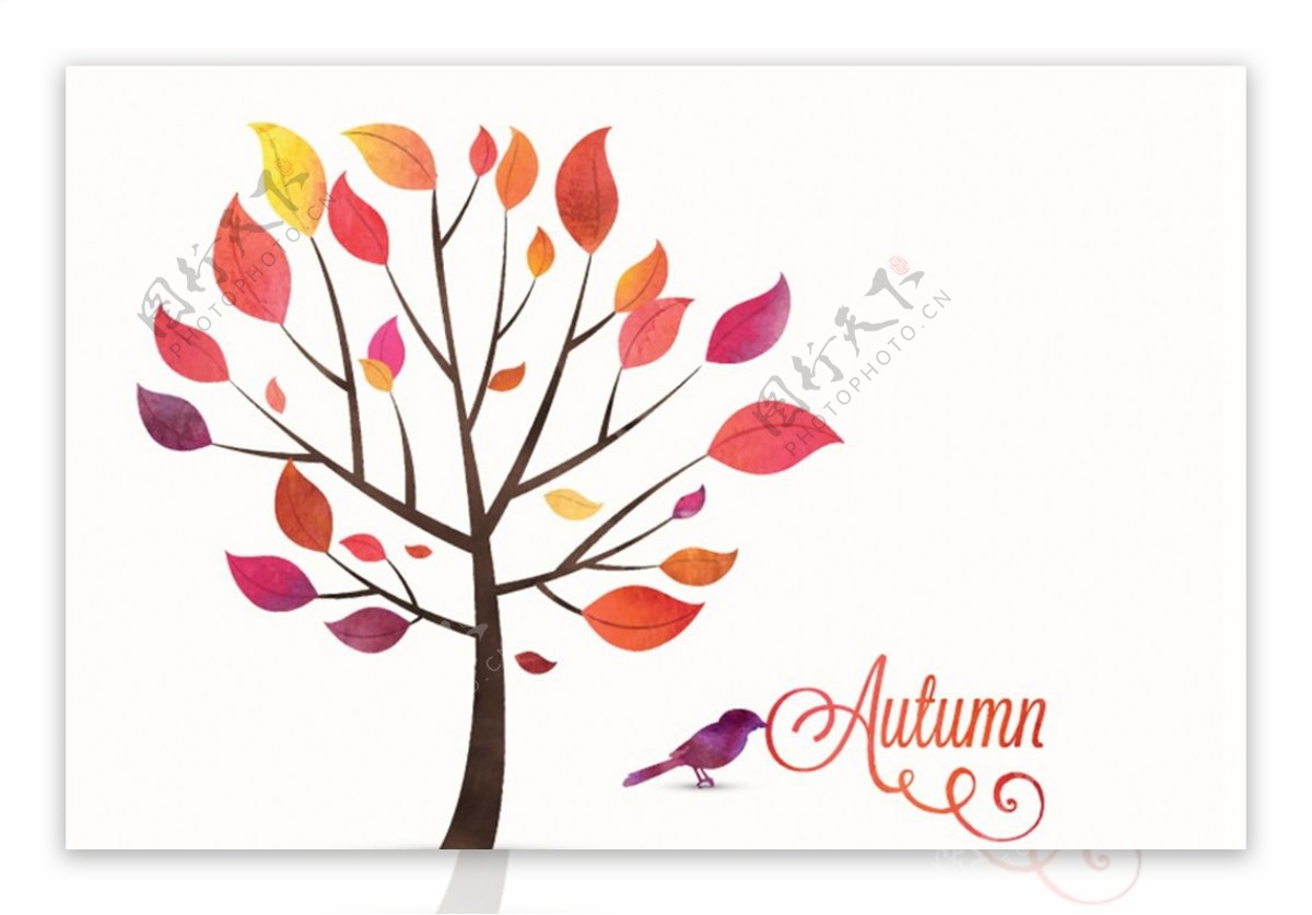 秋季树木和鸟图片