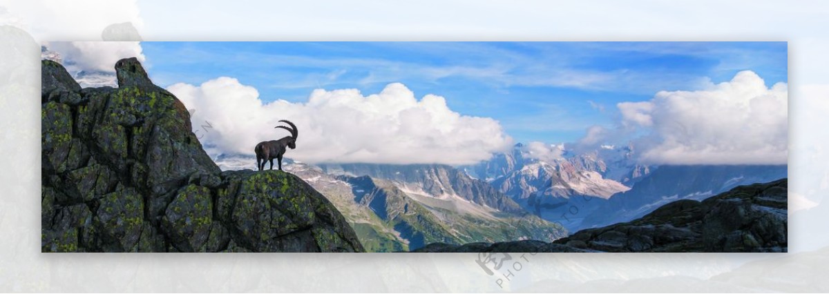 雪山白云石头山的鹿风景装饰画图片