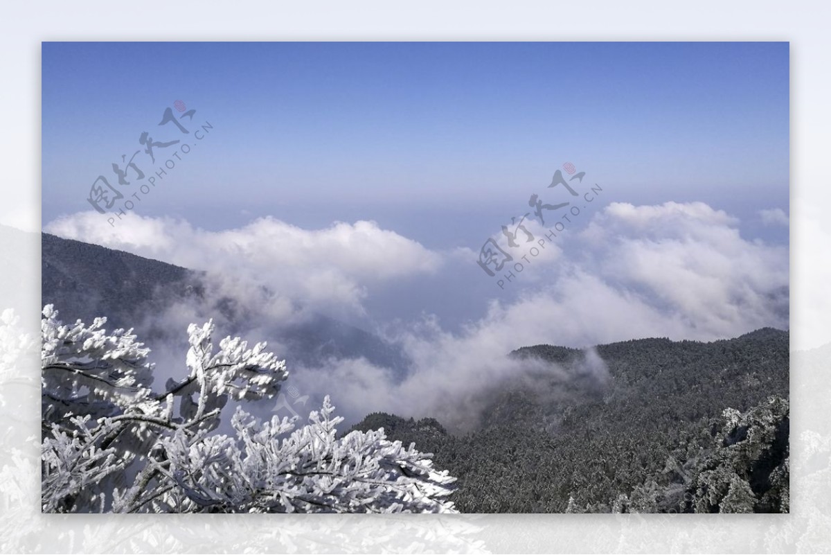 蓝天白云高山树木雪图片