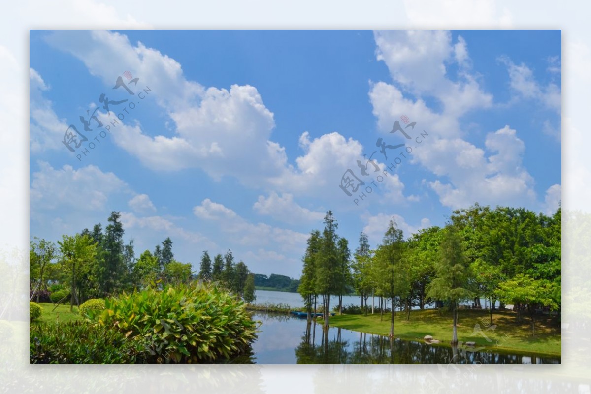 夏天摄影素材蓝天白云绿植图片
