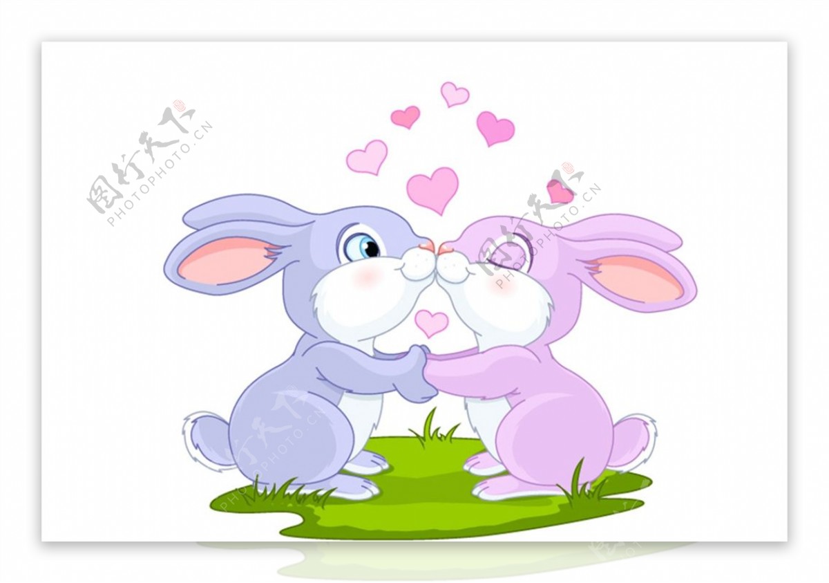 亲吻情侣兔子图片