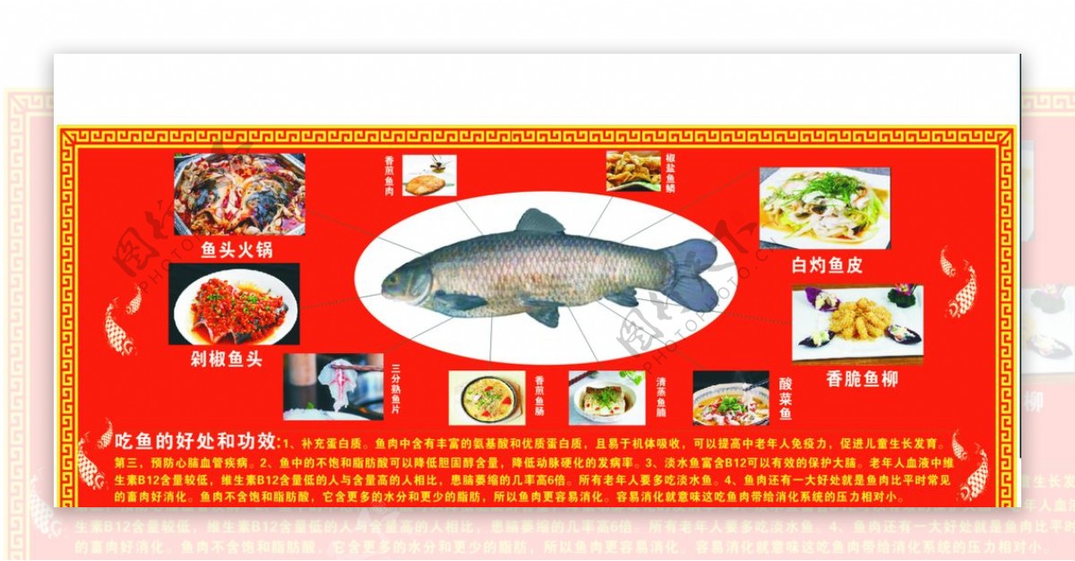 鱼的多种吃法图片