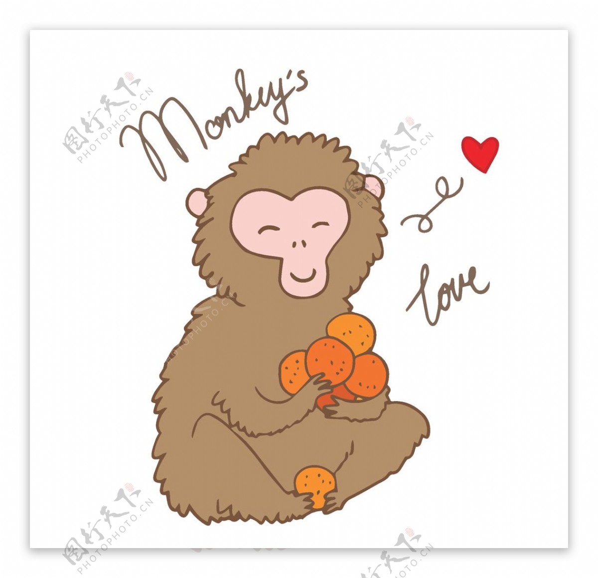 抱着水果的猴子图片