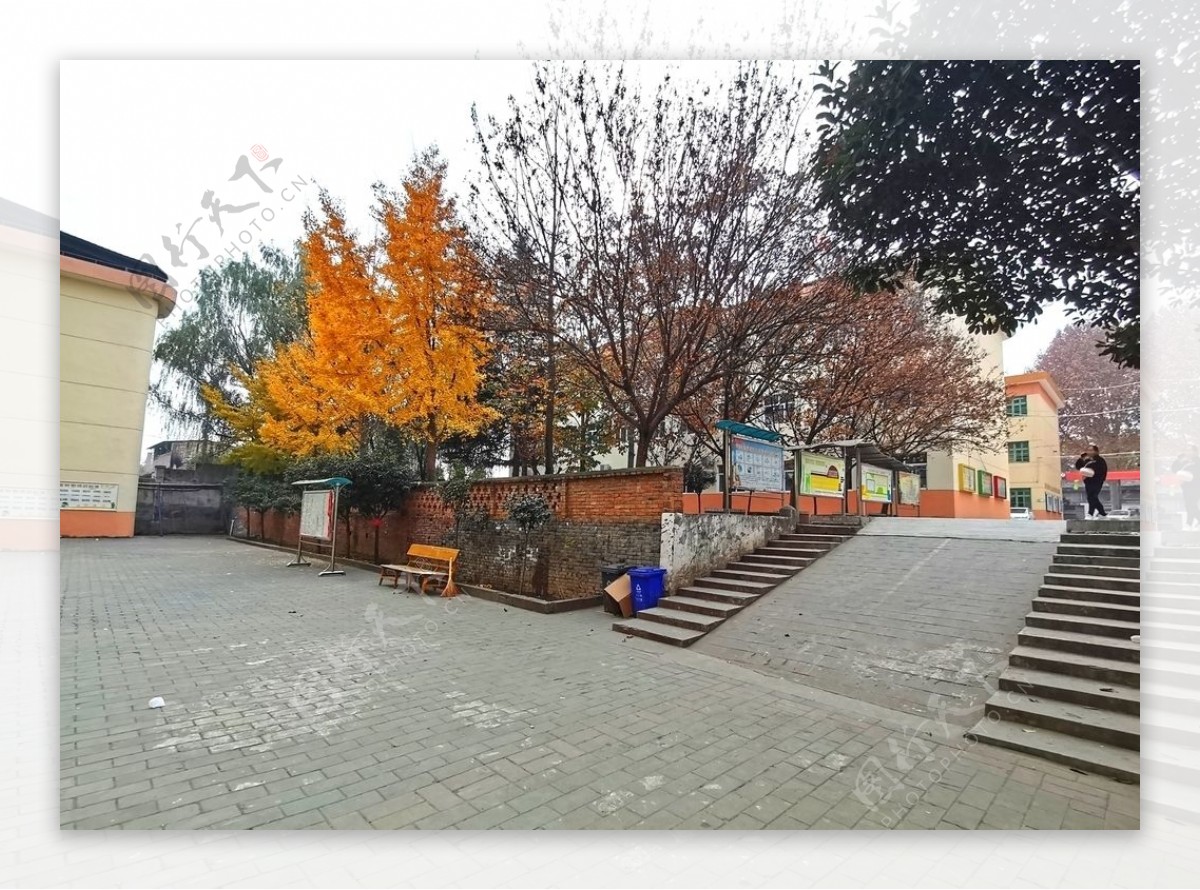秋日里的校园风景图片