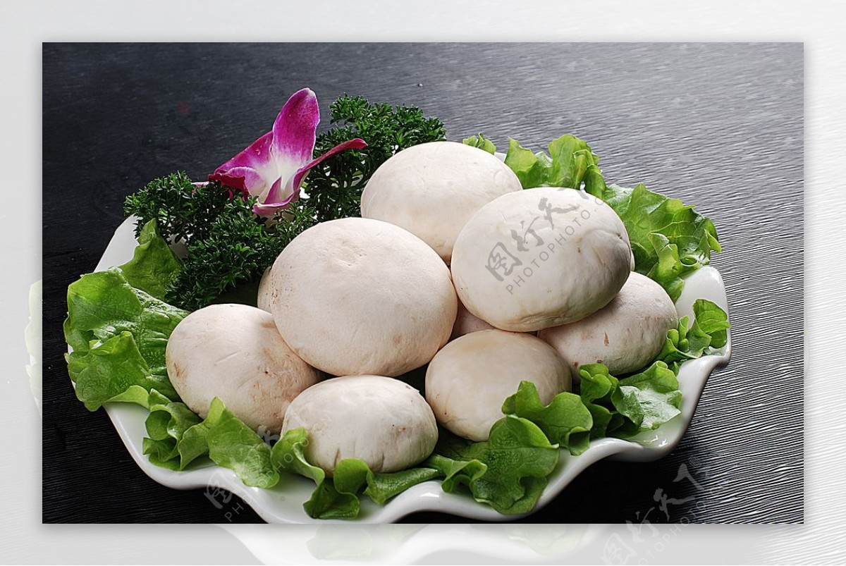豫菜口蘑图片