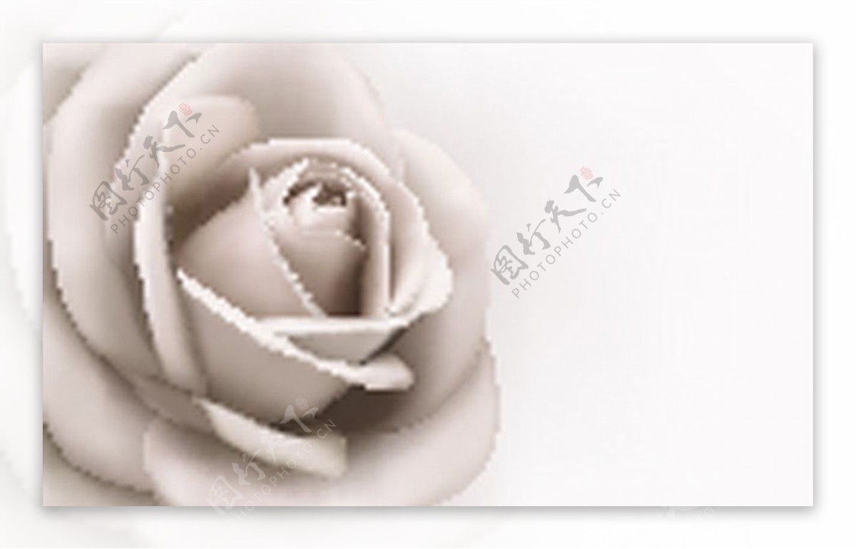 玫瑰花花环装饰图片