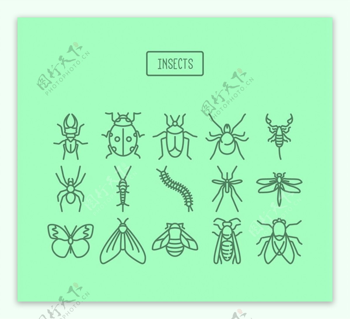 昆虫图标矢量图片