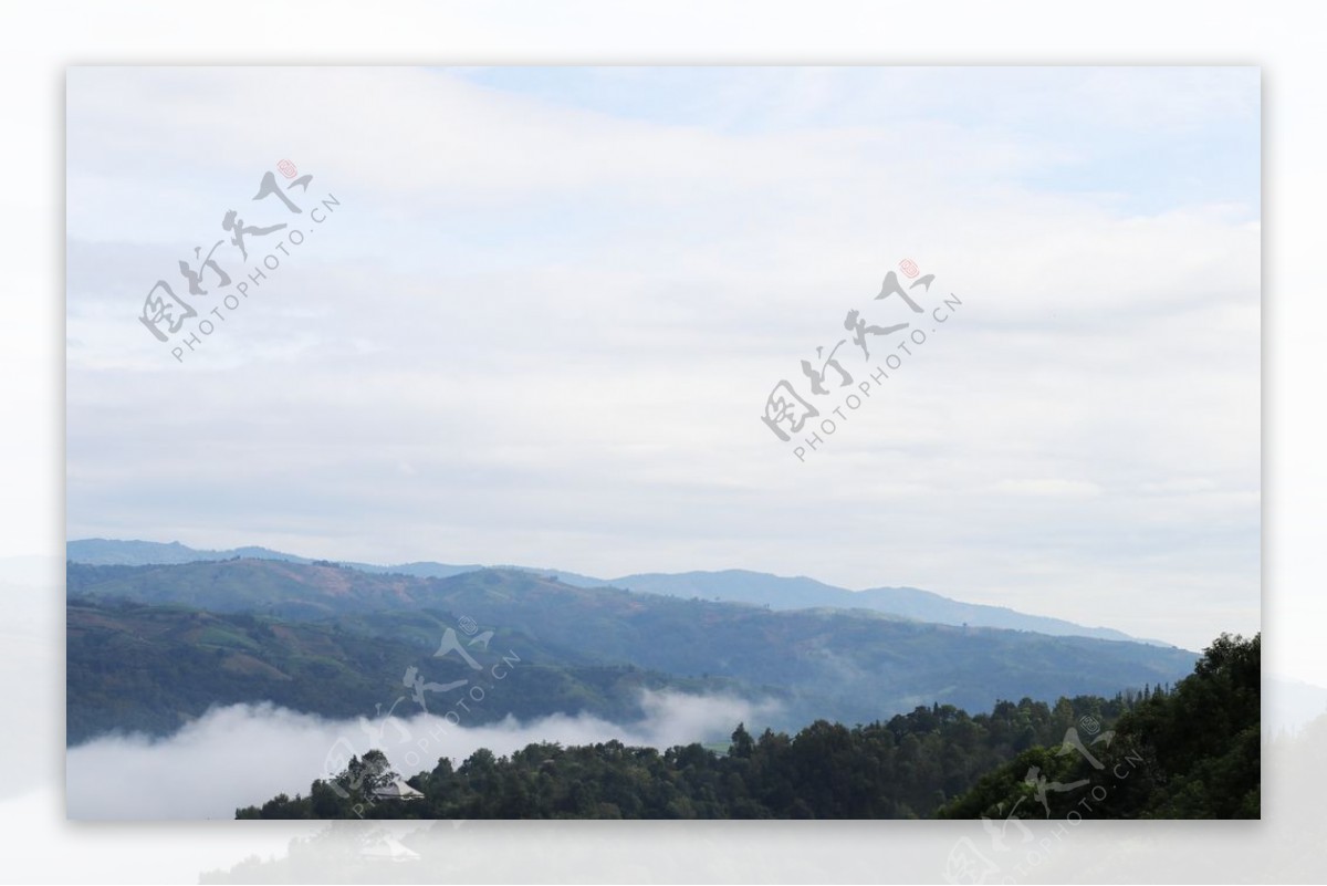 高山茶山云雾自然风光图片