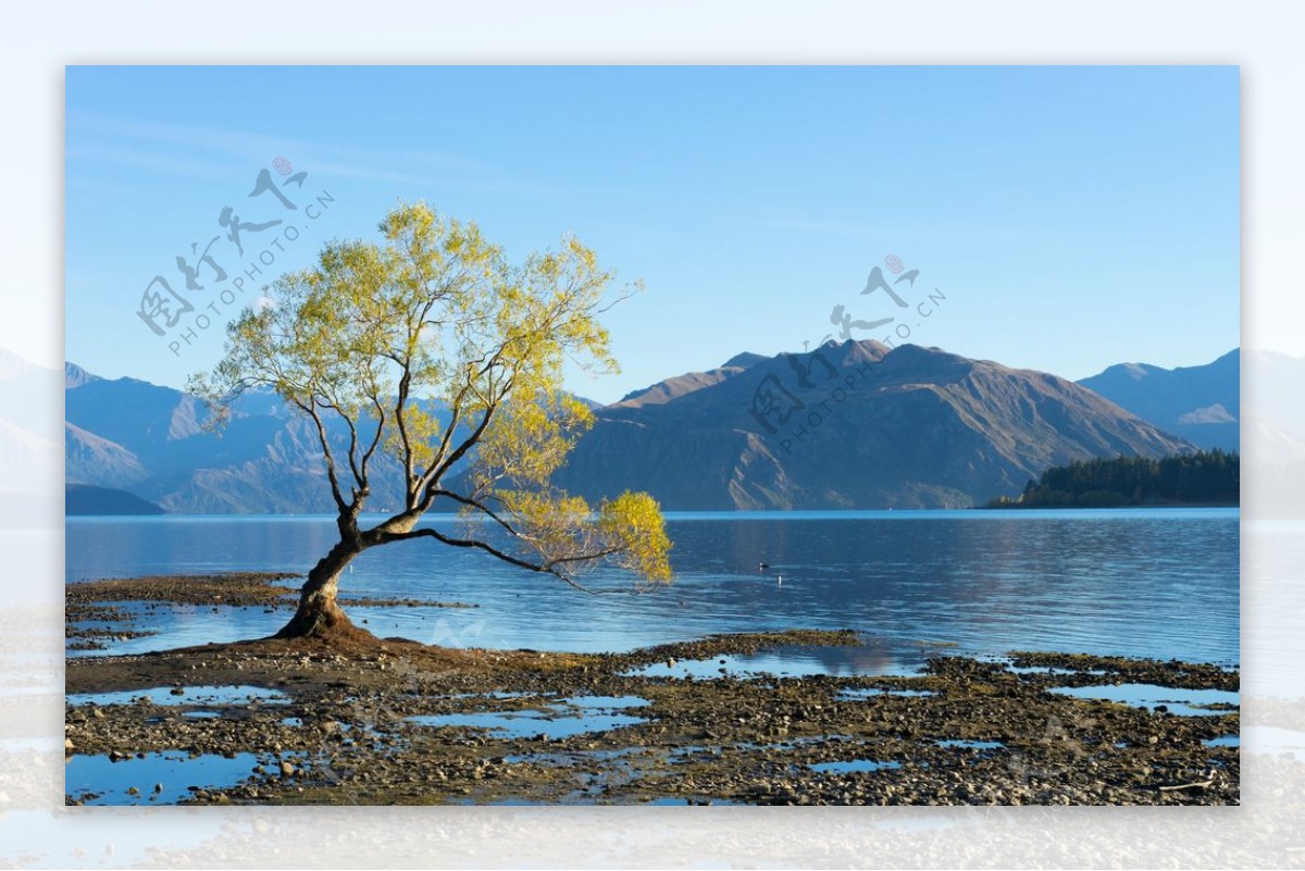 风景如画新西兰阿尔卑斯山湖泊的图片