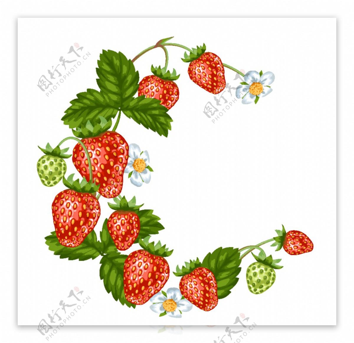 草莓图片素材-编号10284653-图行天下