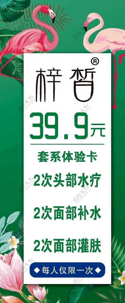 椊皙399元图片