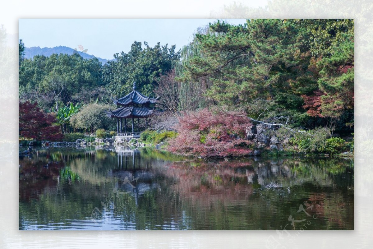 西湖花港观鱼图片