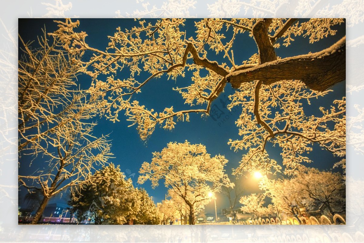 雪景图片