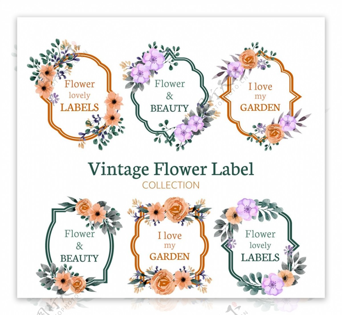 复古花卉装饰标签图片