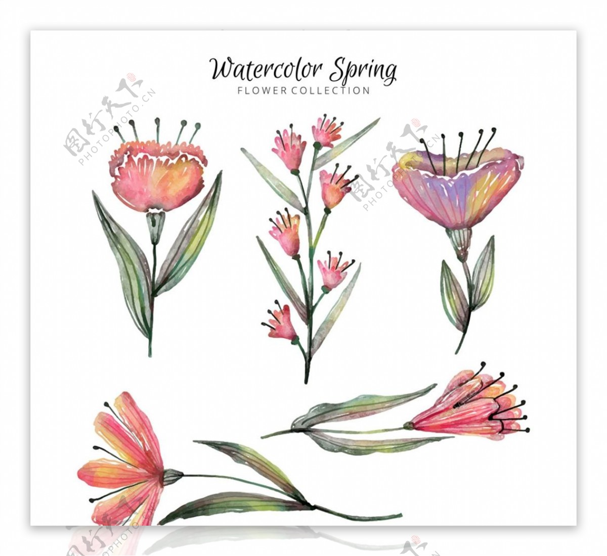 水彩绘春季花卉图片