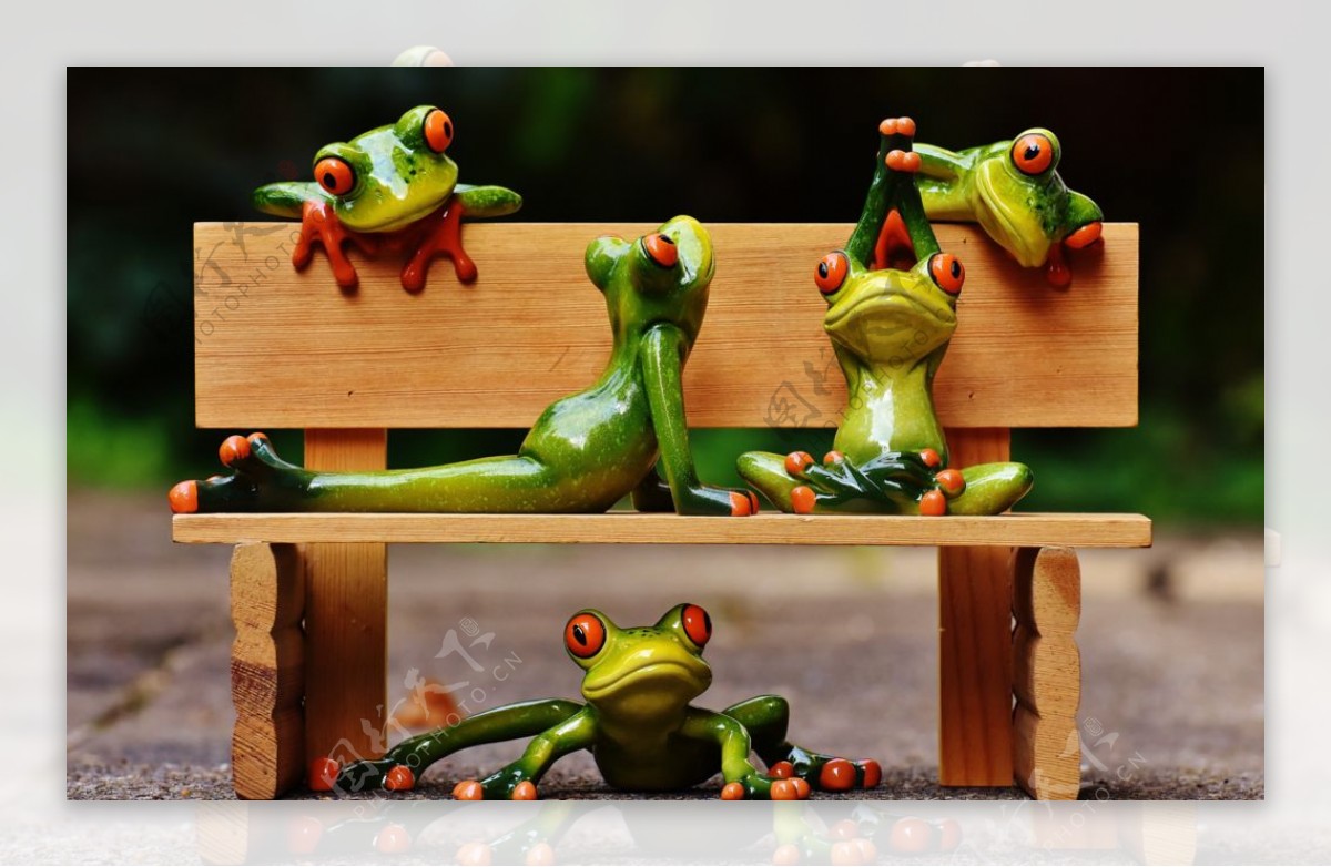 青蛙玩具图片