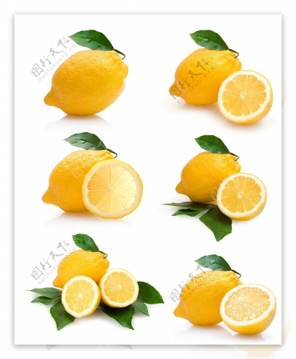柠檬图片素材-编号15540733-图行天下