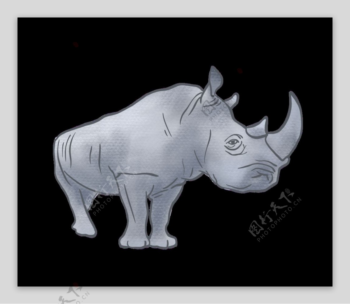 黑色底板上的犀牛插画图片