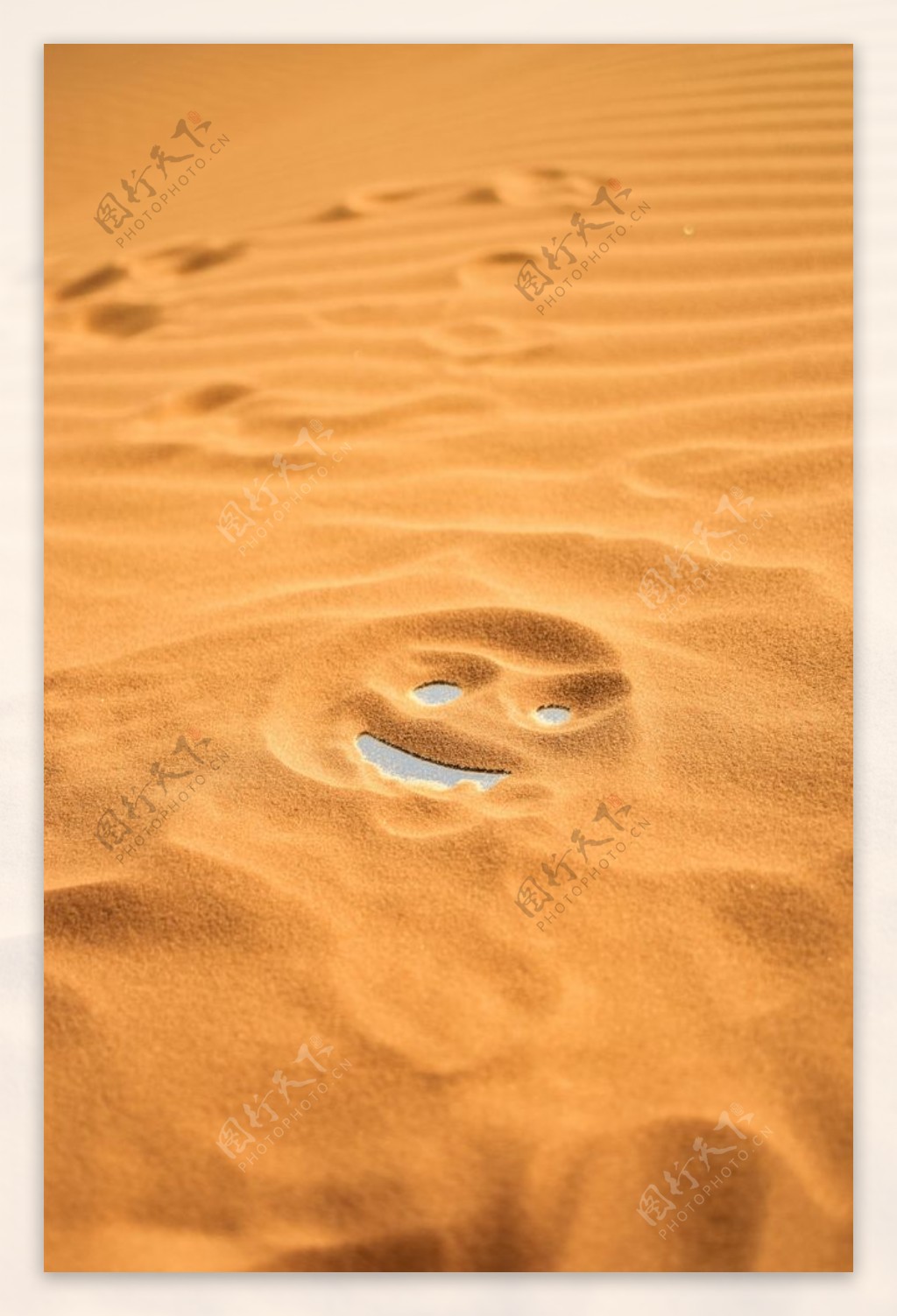 沙漠图片素材-编号12245621-图行天下