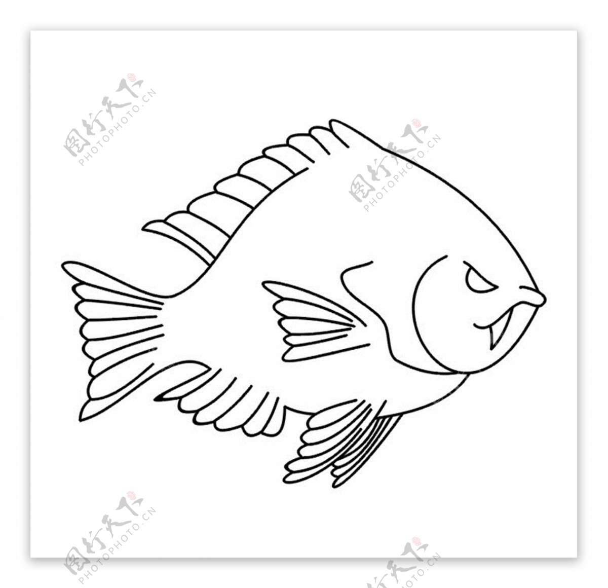 线描鱼图案图片