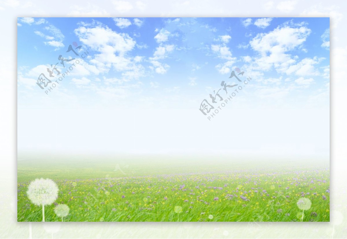 蒲公英花园蓝天白云图片